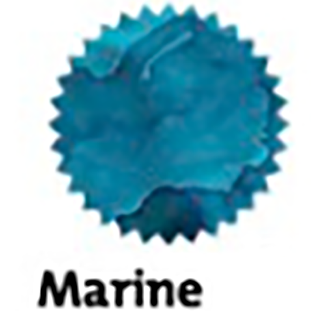 Robert Oster Signature Ink Bottle - Marine - 50ml-Pen Boutique Ltd
