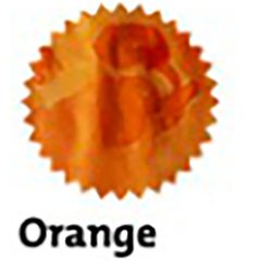 Robert Oster Signature Ink Bottle - Orange - 50ml-Pen Boutique Ltd