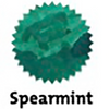 Robert Oster Signature Ink Bottle - Spearmint - 50ml-Pen Boutique Ltd