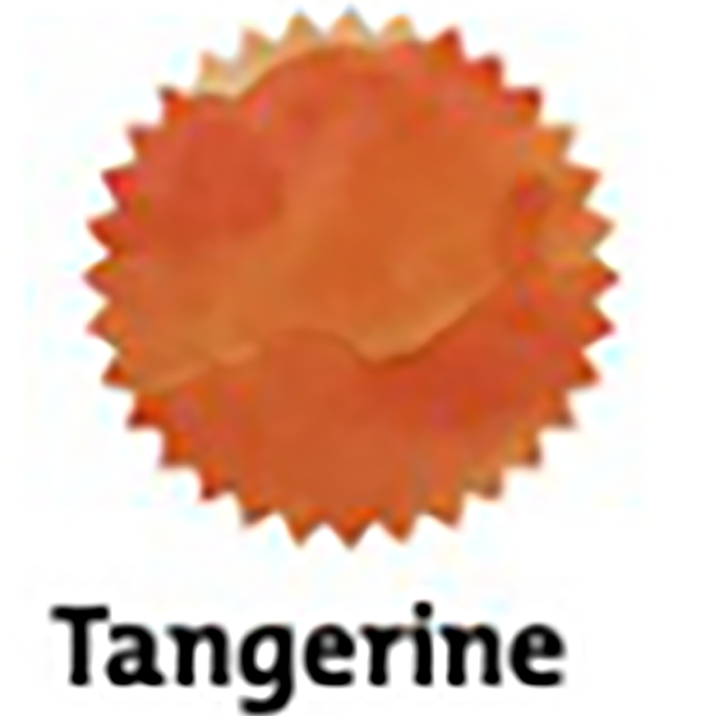 Robert Oster Signature Ink Bottle - Tangerine - 50ml-Pen Boutique Ltd