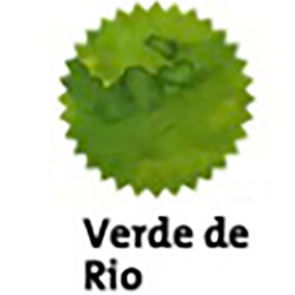 Robert Oster Signature Ink Bottle - Verde de Rio - 50ml-Pen Boutique Ltd