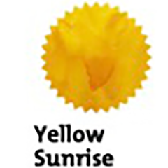 Robert Oster Signature Ink Bottle - Yellow Sunrise - 50ml-Pen Boutique Ltd