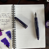 Sailor 1911 Fountain Pen - King of Pens - Wicked Witch of the West (North America Exclusive)-Pen Boutique Ltd