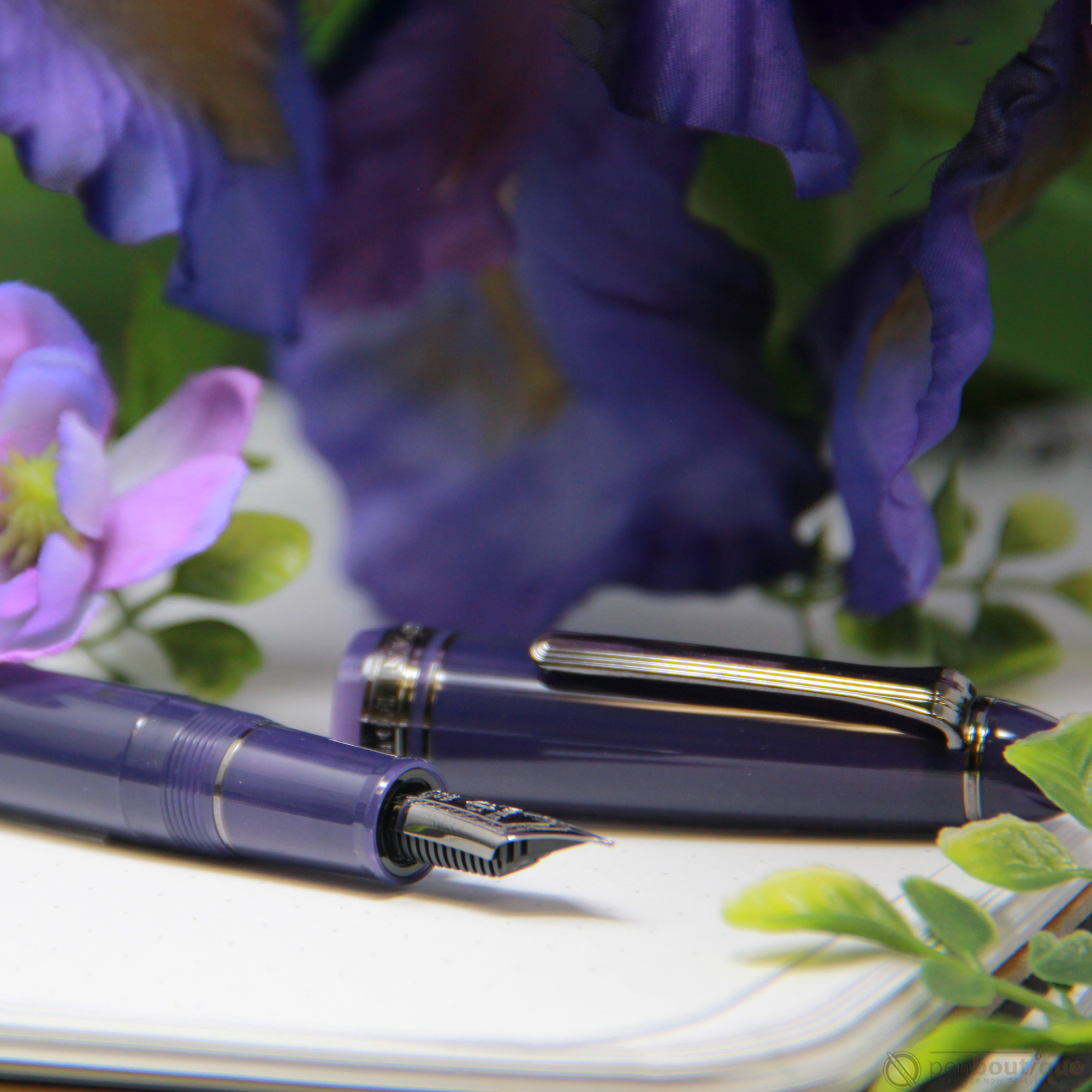 https://www.penboutique.com/cdn/shop/products/Sailor-1911L-Large-Fountain-Pen---Wicked-Witch-of-the-West-1.png?v=1593806798