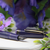 Sailor 1911L Large Fountain Pen - Wicked Witch of the West (North America Exclusive)-Pen Boutique Ltd