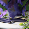 Sailor 1911L Large Fountain Pen - Wicked Witch of the West (North America Exclusive)-Pen Boutique Ltd