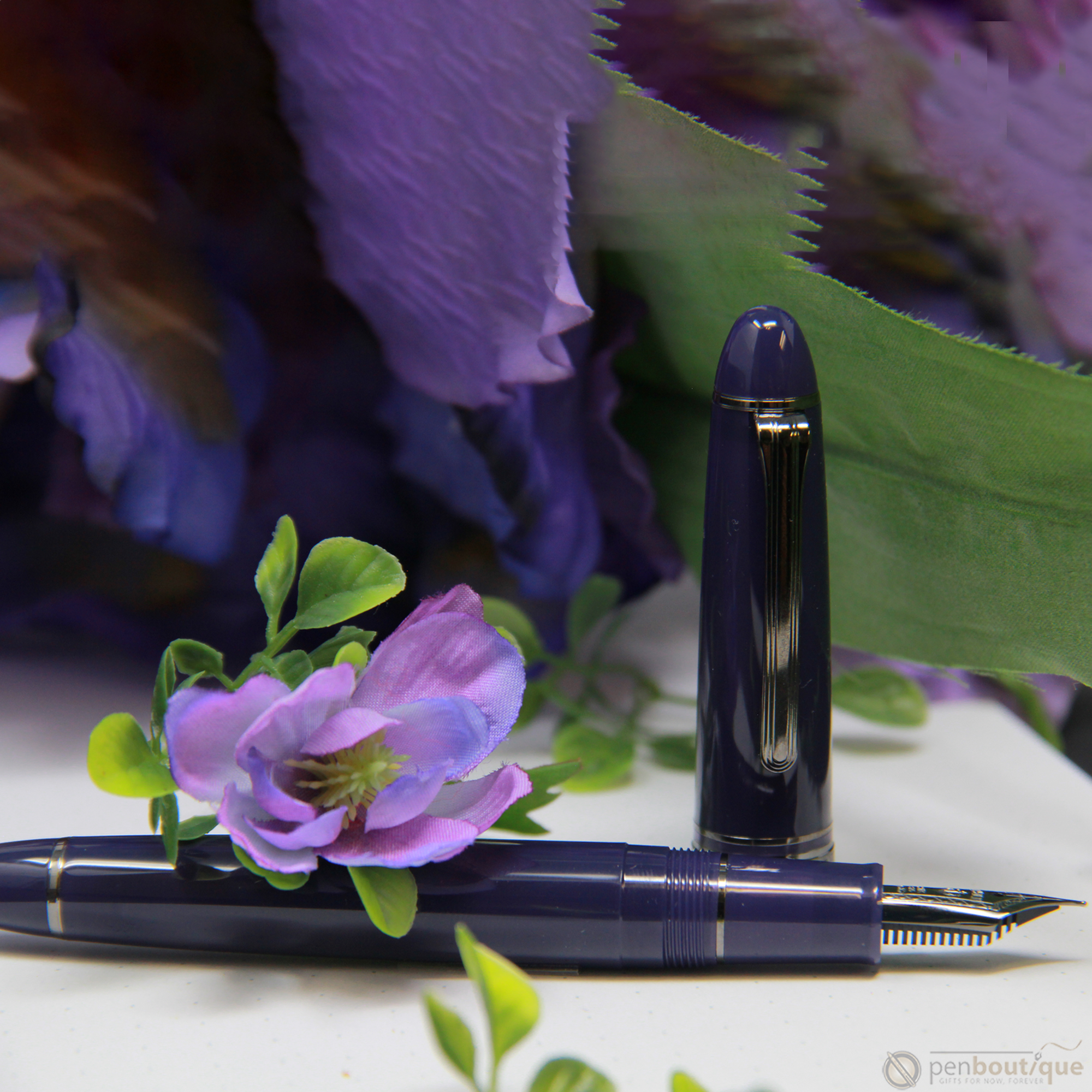 Sailor 1911L Large Fountain Pen - Wicked Witch of the West (North America Exclusive)-Pen Boutique Ltd
