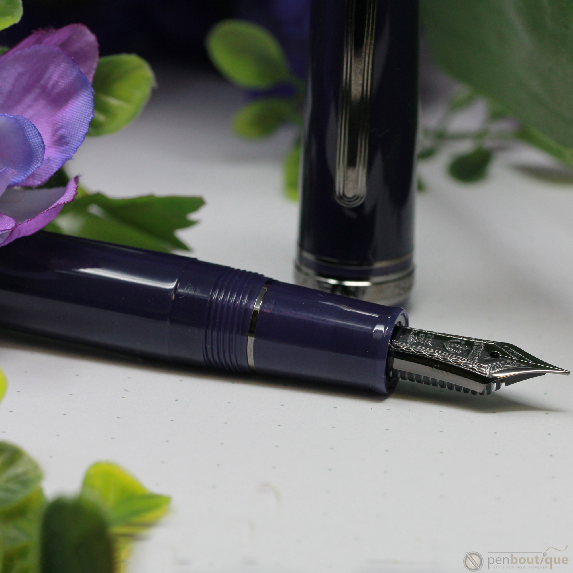https://www.penboutique.com/cdn/shop/products/Sailor-1911L-Large-Fountain-Pen---Wicked-Witch-of-the-West-5_873a1fb1-dc86-4e12-8666-b73c45ae5c6b.png?v=1593806817&width=2000