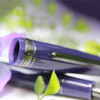 Sailor 1911L Large Fountain Pen - Wicked Witch of the West (North America Exclusive)-Pen Boutique Ltd