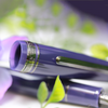 Sailor 1911S Standard Fountain Pen - Wicked Witch of the West (North America Exclusive)-Pen Boutique Ltd