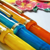Esterbrook JR Pocket Fountain Pen - Paradise Lemon-Pen Boutique Ltd