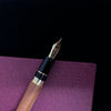 Sailor Fountain Pen - Commemorative - Hiroshima Factory (Bespoke Dealer Special)-Pen Boutique Ltd
