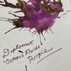 Diplomat Ink Bottle - Purple - 30 ml-Pen Boutique Ltd