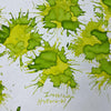 Pilot Iroshizuku Light of Fireflies (Hotaru-Bi) Ink Bottle-Pen Boutique Ltd