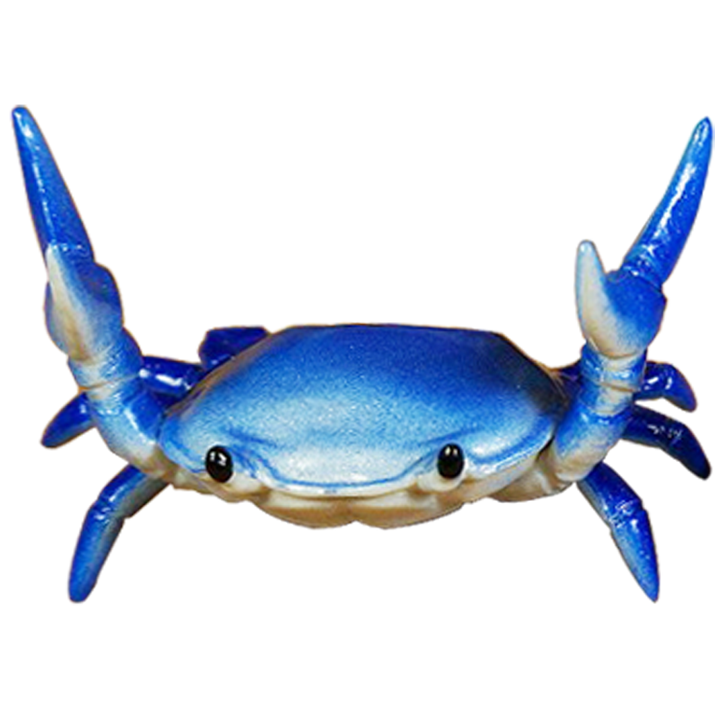 Crab Malletutensil Holderwine Cooler Blue Crab 