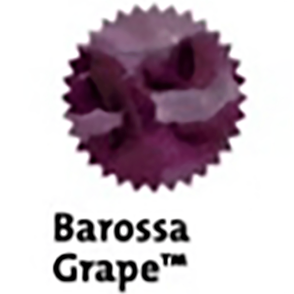 Robert Oster Signature Ink Bottle - Barossa Grape - 50ml