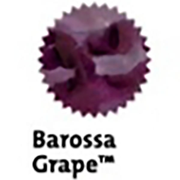 Robert Oster Signature Ink Bottle - Barossa Grape - 50ml-Pen Boutique Ltd