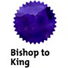 Robert Oster Signature Ink Bottle - Bishop to King - 50ml-Pen Boutique Ltd