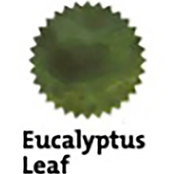 Robert Oster Signature Ink Bottle - Eucalyptus Leaf - 50ml-Pen Boutique Ltd