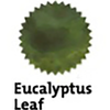 Robert Oster Signature Ink Bottle - Eucalyptus Leaf - 50ml-Pen Boutique Ltd