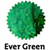 Robert Oster Signature Ink Bottle - Ever Green - 50ml-Pen Boutique Ltd