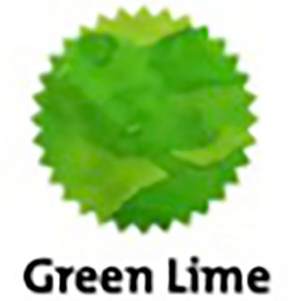 Robert Oster Signature Ink Bottle - Green Lime - 50ml-Pen Boutique Ltd