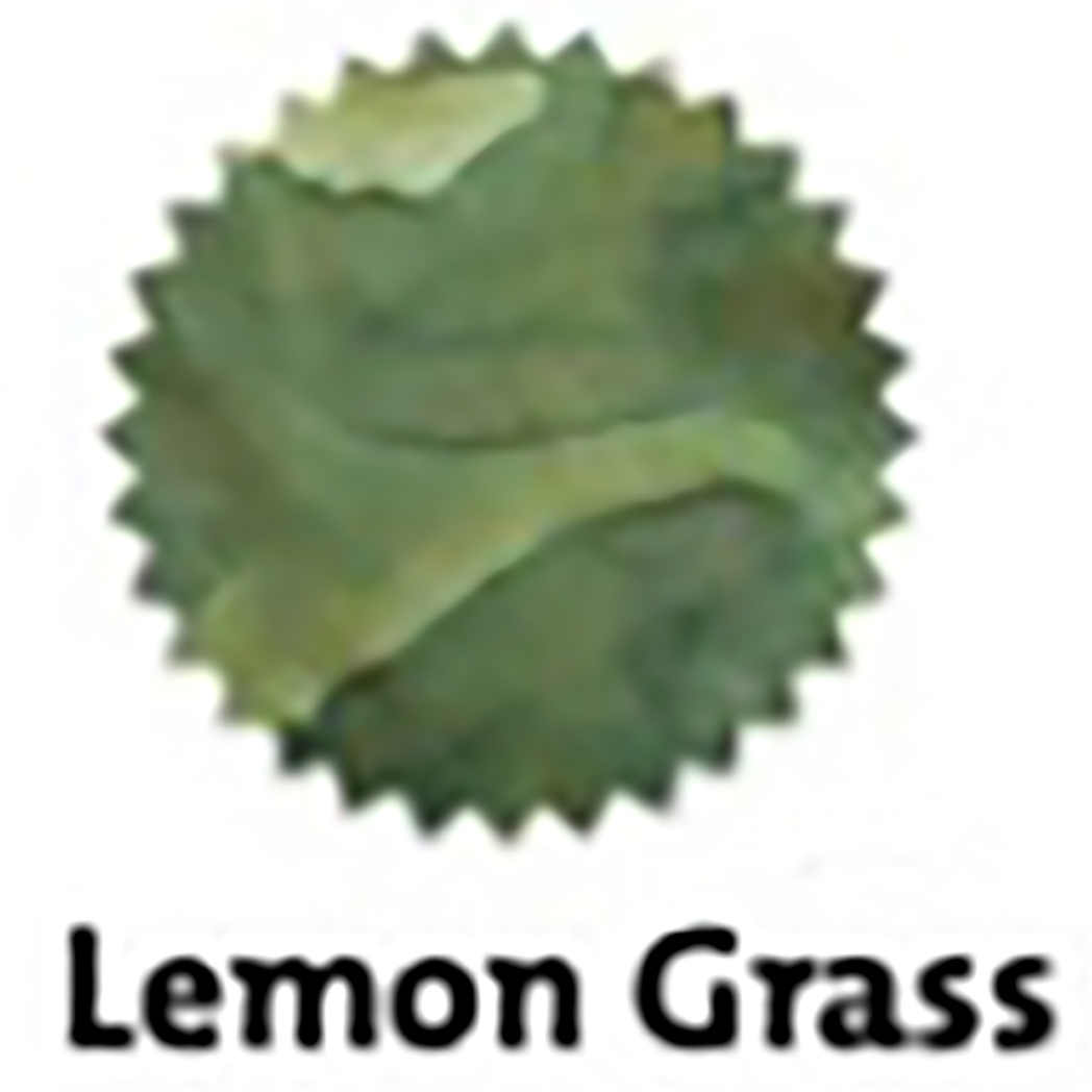 Robert Oster Signature Ink Bottle - Lemon Grass - 50ml-Pen Boutique Ltd