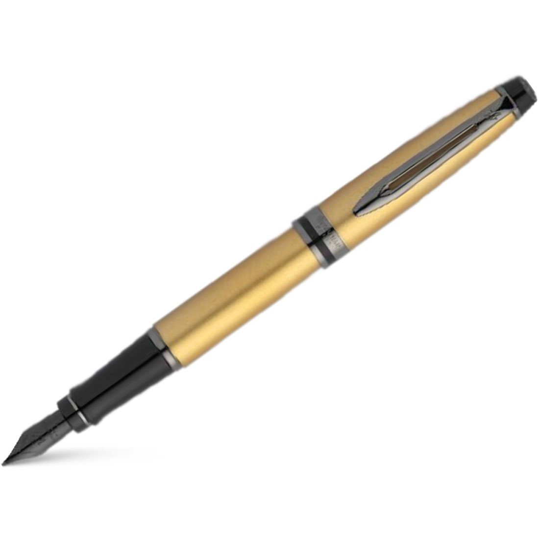 Waterman Expert3 Fountain Pen - Gold - Ruthenium Trim (Special Edition)-Pen Boutique Ltd