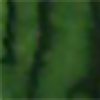 Frankly green