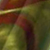 Green asia