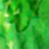 Green green