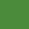 Green lily