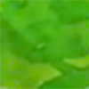Green lime