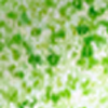 Marbled green