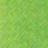 Parakeet