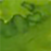Verde de rio
