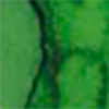 Vine leaf