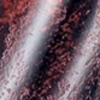 Wabi sabi iii red
