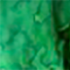 Ever green