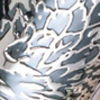 Hawk